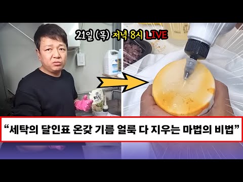 LIVE | 세탁의 달인 표 패딩, 운동화, 와이셔츠 기름 때 싹 다 지우는 마법의 그 비법!