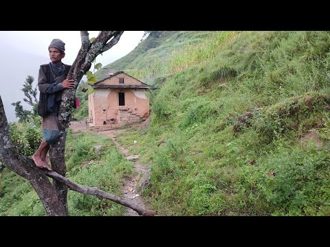 Best Life in the Nepali Mountain Village During the Rainy season | How People Live in with nature