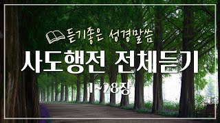 사도행전 전체듣기,성경듣기,듣는성경,성경말씀,읽어주는성경,성경읽기,성경낭독