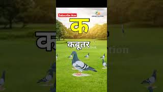 क से कबूतर | Hindi Alphabet for kids #shorts #shortsvideo #dreamfruition #ksekabutar