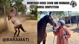 THE BHIMTHADI HORSE SHOW AND MARWADI HORSE COMPETITION at BARAMATI