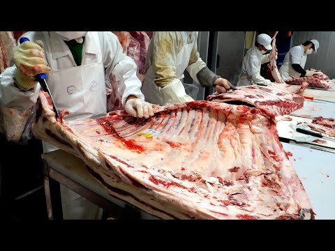 The process of deboning craftsmen dismantling cows. Amazing Korean meat processing factory