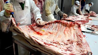 연매출 400억!? 발골 장인들이 펼치는 소고기 해체 과정. 한국의 육가공 공장 / Amazing Korean meat processing factory