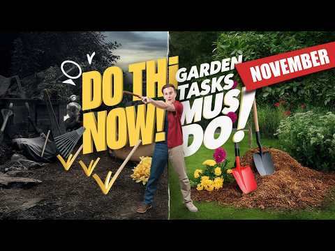 10 Garden Tasks You MUST Do In November for a Thriving Fall Garden!