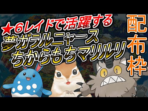 【孵化余り配布】ガラルニャース, ゾウドウ, シビシラス編　２３時まで（マリルリ売り切れました）【ポケモンSV】【交換】