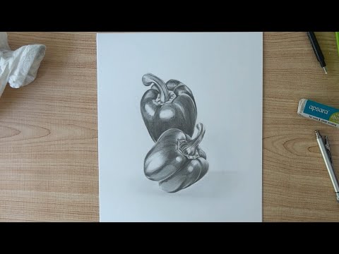 still life drawing | capsicum drawing | object drwing