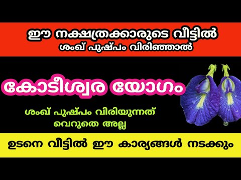 ഈ നക്ഷത്രക്കാരുടെ വീട്ടിൽ ശംഖ് പുഷ്പം വിരിഞ്ഞാൽ ഉടനെ വീട്ടിൽ ഈ കാര്യങ്ങൾ നടക്കും