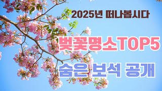 2025 벚꽃 시즌, 사진 찍기 좋은 꼭 가봐야 할 TOP 5 명소완벽 정리!(눈호강영상들)" #옥정호  #국내여행 #벚꽃엔딩#벚꽃명소