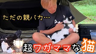 ソロキャンプに着いてくる甘えん坊猫！これゃー親バカになりますよw【猫とキャンプ】