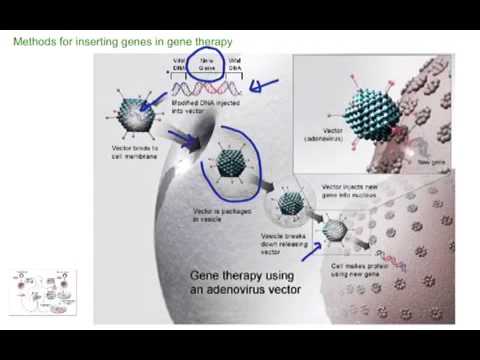 Gene Therapy