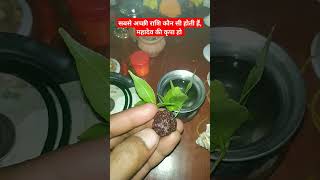 सबसे अच्छी राशि कौन सी होती हैं, महादेव की कृपा हो #viral #horoscope #astrology #rashi #mahadev #yt