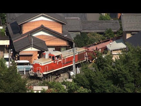 西濃鉄道　DE10-501　2009-2021撮影