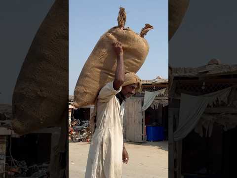 #heavyweight #loading #rice #truck #shorts