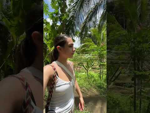 WATER PURIFICATION IN BALI | RICE FIELD TREKKING | SOLO TRAVEL IN BALI #solotravel #bali #ricefield