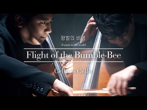 첼로대결!│믿기힘든 역대급 속주.. '왕벌의 비행'🐝 (Flight of the Bumble-Bee)│Two Cellos (Feat 심준호) / N.Rimsky-Korsakov