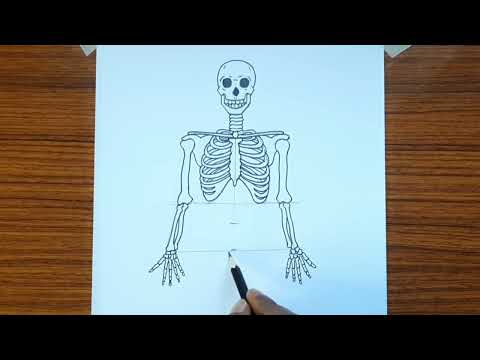 Skeleton drawing easy step by step | How to draw human skeleton | Skeleton drawing tutorial