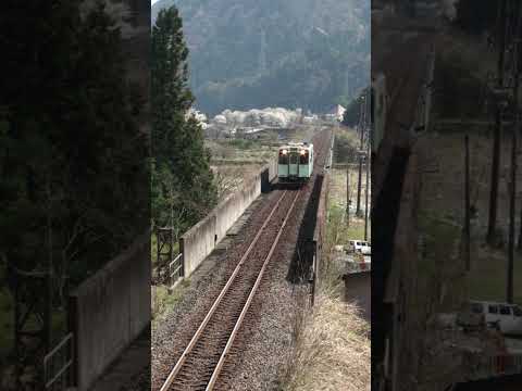 樽見鉄道　水鳥ー樽見　陸橋の上から #鉄道