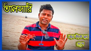 Talsari | talsari beach | talsari sea beach viral video | digha talsari