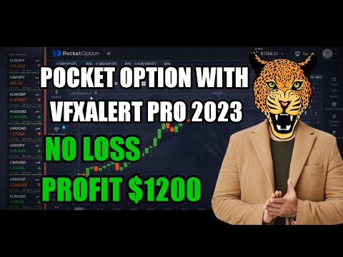 $1200 Profit Pocket Option Strategy - Using vfxAlert pro signals