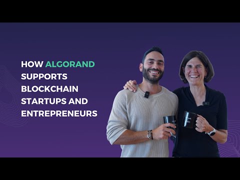 Fostering Innovation: How Algorand Supports Blockchain Startups