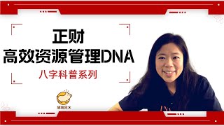 正财：高效资源管理DNA✨猪猪八字科普系列✨