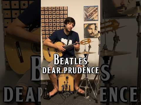 Dear Prudence by the Beatles (cover) #onemanband #acousticcover #beatles #thebeatles #beatlescover