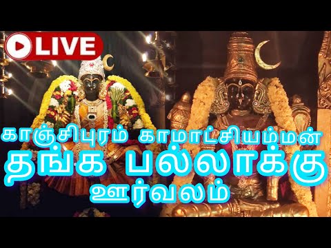 #LIVE ||GOLD PALANQUIN#LIVE ||தங்கம் பல்லாக்கு#NEW#YTLIVE#LIVRTOLIVE#YTL