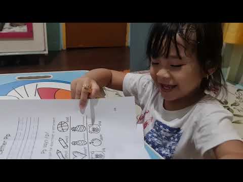 Sofia answering the same and different things worksheet at 3 years old