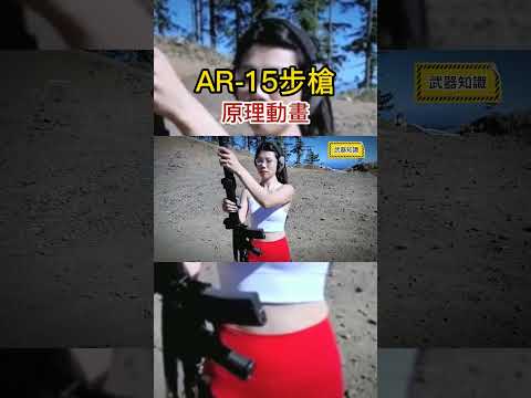 AR-15原理：最受歡迎又飽受爭議的步槍，設計細節拉滿 #武器  #ar15 #步槍 #原理動畫 #三維動畫