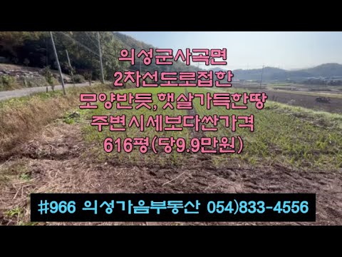 #966 의성가음부동산 2차선접한 벼논 617평 6100만 (당9.9만원) 싼가격 벼.마늘 2모작가능 전기수도가능 위치좋은 투자용 물류창고 주말농장용 #의성땅#의성벼논#시세보다싼땅