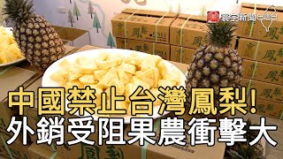 中國禁止台灣鳳梨! 外銷受阻果農衝擊大｜寰宇新聞20210302