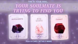 💖This Reading Will Find You💖 When YOUR SOULMATE is ready for 3D union! ✨Timeless Pick A Card Tarot✨