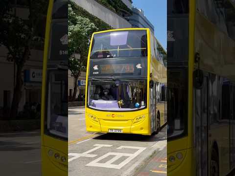 Hong Kong Double Decker Bus