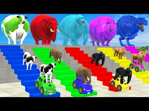 Cow Elephant Lion Gorilla Tiger T-Rex Guess The Right Door Long Slide Game Animals Cage Game