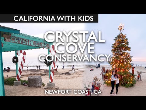 Crystal Cove Conservancy Winter Beach Day