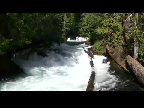 #Relaxing. #Video #of #a  #Mountain #Stream #music #relax #chillmusic #chill #chillvibes #chillout