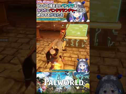 【PALWORLD】せっかく捕まえたペンタマをみこちにペンタマランチャーされてしまい絶句するかなたそ【天音かなた/さくらみこ】[ホロライブ切り抜き]