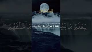 Ayatul Kursi | Relax, Peacful Reaction | #Shorts #QuranVerse