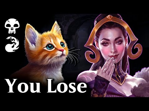 My opponents are allergic to cats.