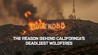 How California Fire Started? - Uncovering Causes, Devastation, and Response