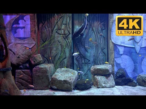 Aquarium video for TVs by Sony, LG, Samsung etc...