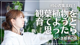 【これから観葉植物を育て始める方】初心者必見！基本を知って楽しいボタニカルライフのスタートを