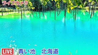 ライブカメラ　青い池　北海道　Live cam Aoike Hokkaido