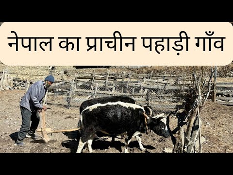 Ancient Himalayan Village Life in Nepal | नेपाल में प्राचीन पहाड़ी ग्रामीण जनजीवन | The Young Monk |