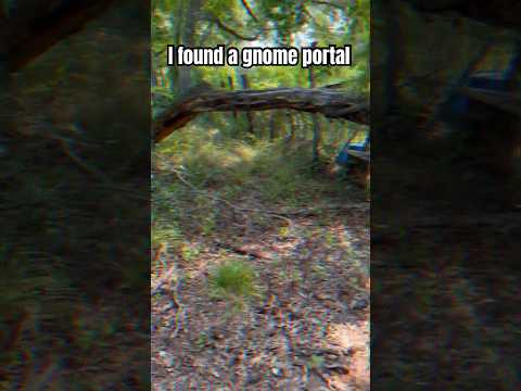 I found a gnome portal #funny #comedy #humor #gnomes #outside ide