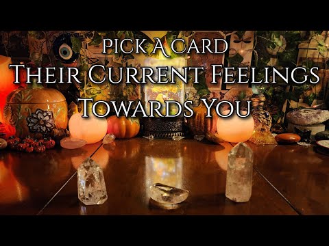 Their Current Feelings Towards You #pickacard #tarot #messagesfromyourperson #messages