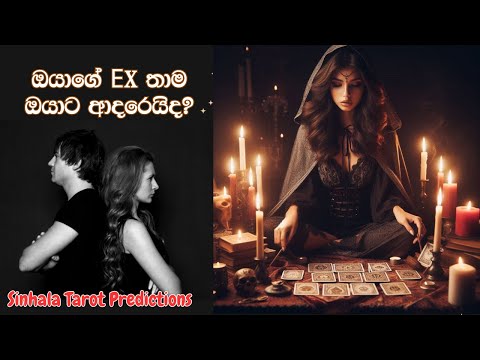 ඔයාගේ EX තාම ඔයාට ආදරෙයිද? 💔 Sinhala Tarot Predictions ✨