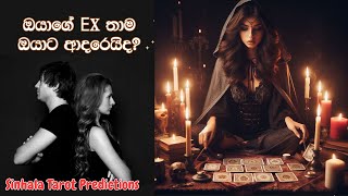 ඔයාගේ EX තාම ඔයාට ආදරෙයිද? 💔 Sinhala Tarot Predictions ✨