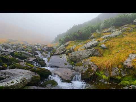 Fog over Stream between Hills. #shorts #relaxing #relaxingsounds Video by I Am Sorin