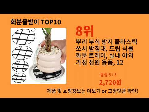 화분물받이 알리익스프레스 인기 절정 꿀템 BEST 10